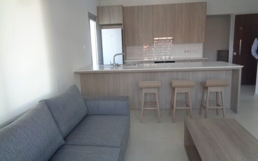 Modern 1 bedroom aparment in gated building