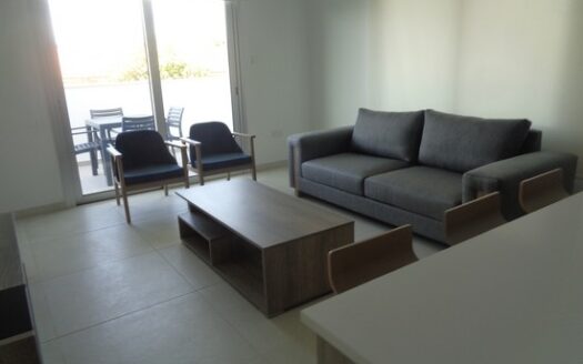 Modern 1 bedroom aparment in gated building