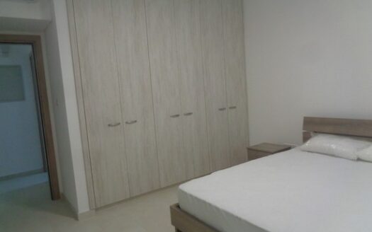 Modern 1 bedroom aparment in gated building