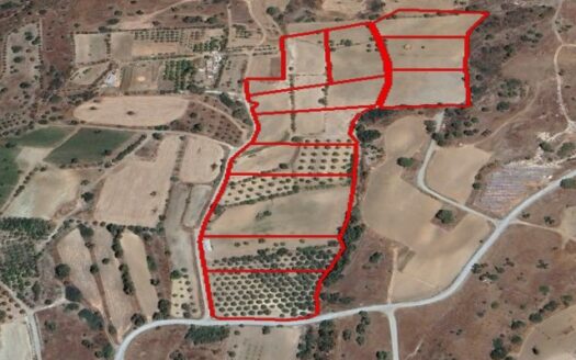 Eleven consecutive agricultural plots in Pyrgos Limassol