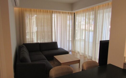 Brand new spacious one bedroom apartment in Agia Zoni