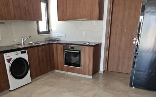 Modern 1 bedroom apartment furnished near Dasoudi