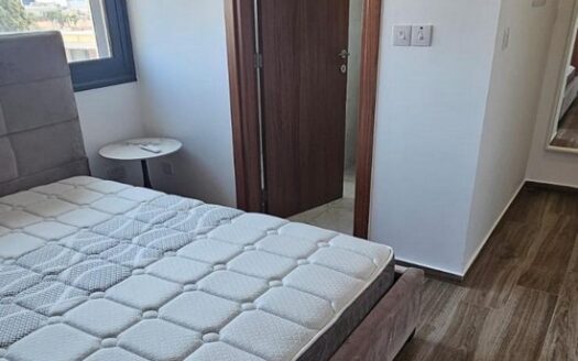 Modern 1 bedroom apartment furnished near Dasoudi