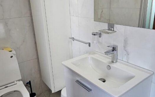 Modern 1 bedroom apartment furnished near Dasoudi