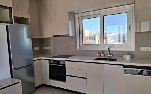 Brand new Penthouse 2 bedroom fully furnished