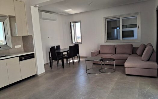 Brand new Penthouse 2 bedroom fully furnished