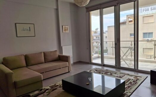 Modern One Bedroom Apartment in Dasoudi