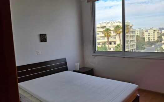 Modern One Bedroom Apartment in Dasoudi