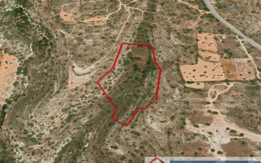 Agricultural plot in Agios Athanasios