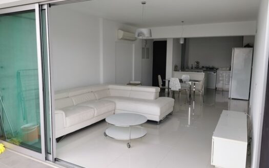Modern 2 Bedroom Apartment Furnished