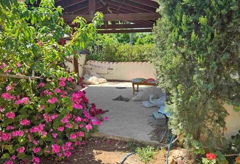 3 bedroom detached bungalow with pool and garden