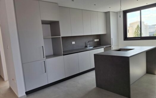 Luxury spacious 3 bedroom apartment in the city center