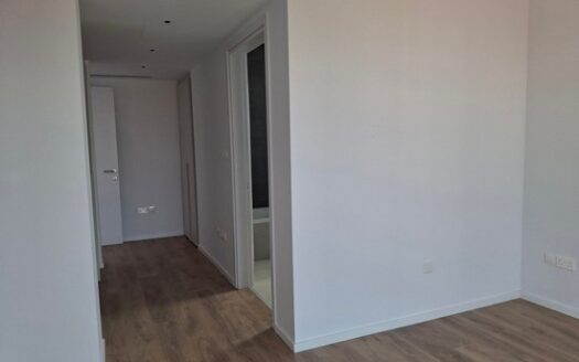 Luxury spacious 3 bedroom apartment in the city center