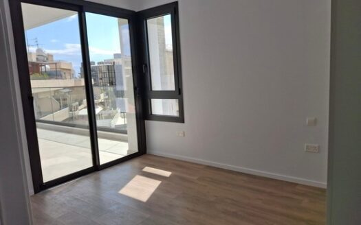 Luxury spacious 3 bedroom apartment in the city center