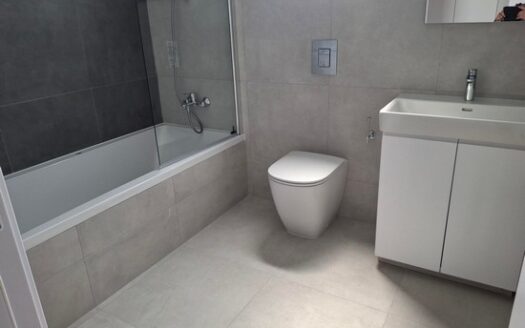 Luxury spacious 3 bedroom apartment in the city center