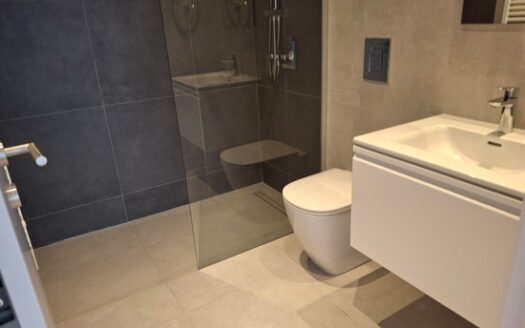 Luxury spacious 3 bedroom apartment in the city center