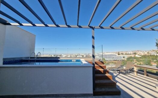 2 bedroom penthouse with rooftop private pool