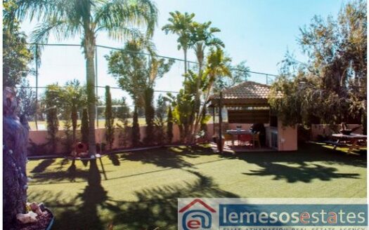 5 Bedroom Detached Villa in Potamos Germasogias on large plot