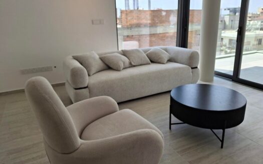 Brand new quality 2 bedroom fully furnished apartment for rent