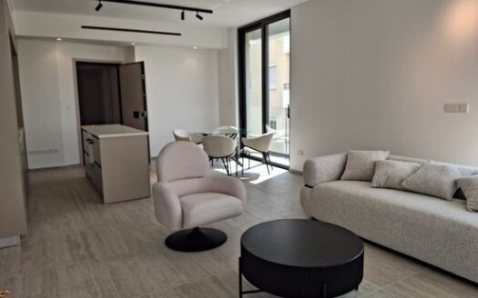 Brand new quality 2 bedroom fully furnished apartment for rent