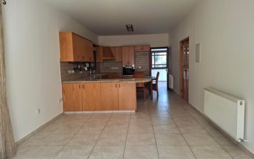 4 Bedroom detached house with garden in Palodia