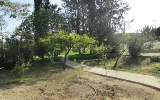 Huge 5 bedroom villa with huge mature gardens and private pool on large parcel on land