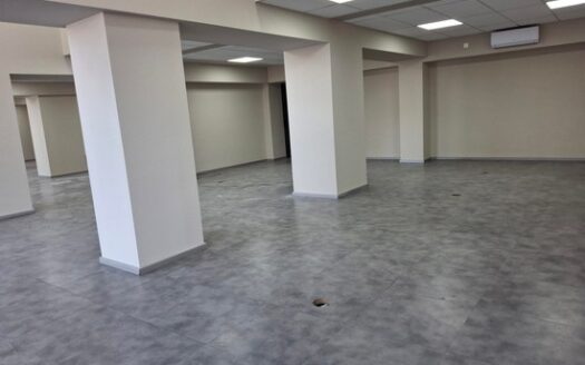 Office ground floor with high ceiling, raised floor 370m2