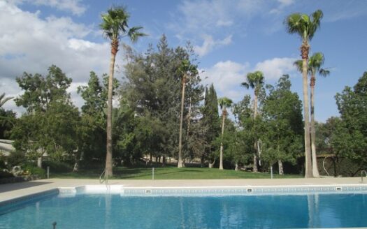 Huge villa for office space with landscape mature garden and large private pool