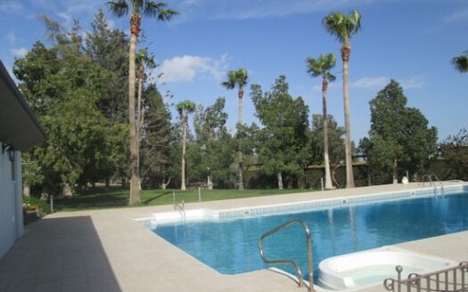 Huge villa for office space with landscape mature garden and large private pool