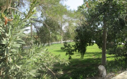 Huge villa for office space with landscape mature garden and large private pool