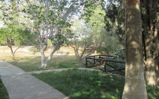 Huge villa for office space with landscape mature garden and large private pool