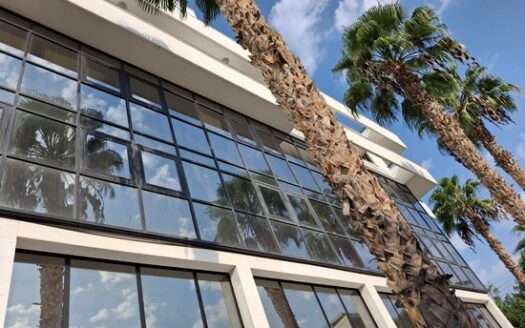 Office ground floor and mezzanine 280m2 in Katholiki