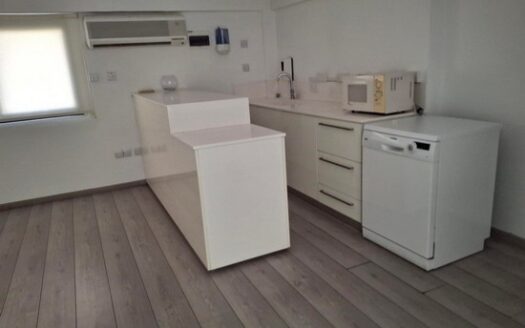 Office ground floor and mezzanine 280m2 in Katholiki