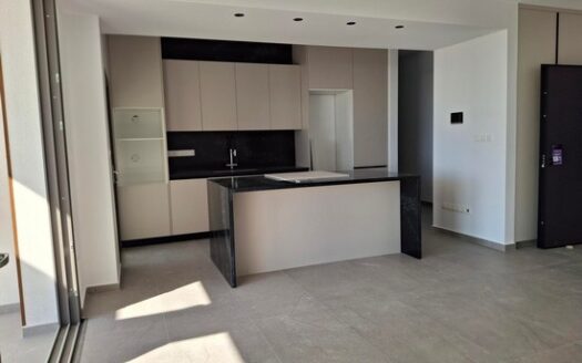 Stunning 3 bedroom Penthouse with private roof garden in Polemidia, excellent view!!