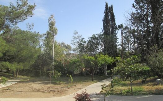 Huge 5 bedroom villa surrounded in mature landscaped gardens with private pool