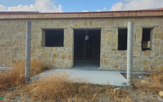 Agricultural plot in Parekklisia