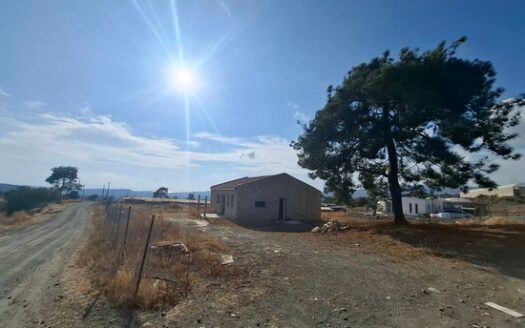 Agricultural plot in Parekklisia