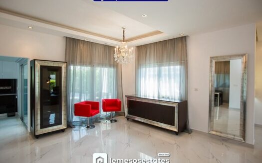 Modern 4-Bedroom Villa in Agios Tychon – Prime Coastal Living