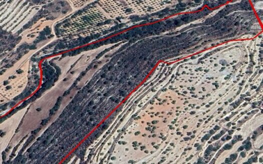 Agricultural plto in Paramitha