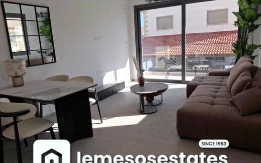 Brand new one bedroom apartment furnished apartment