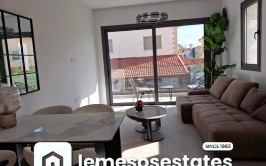 Brand new one bedroom apartment furnished apartment