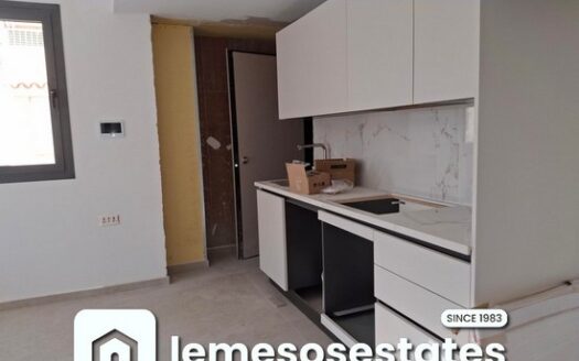 Brand new one bedroom apartment furnished apartment