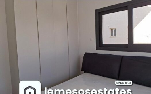 Brand new one bedroom apartment furnished apartment