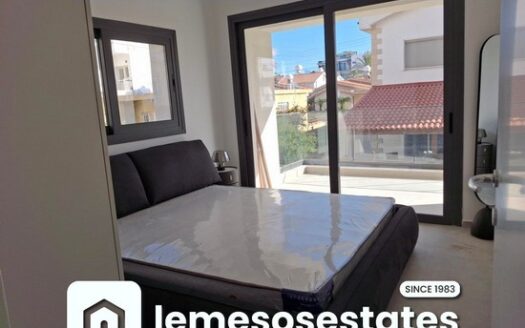 Brand new one bedroom apartment furnished apartment