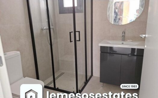 Brand new one bedroom apartment furnished apartment