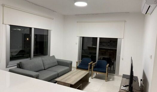 Spacious modern one bedroom furnished apartment gated