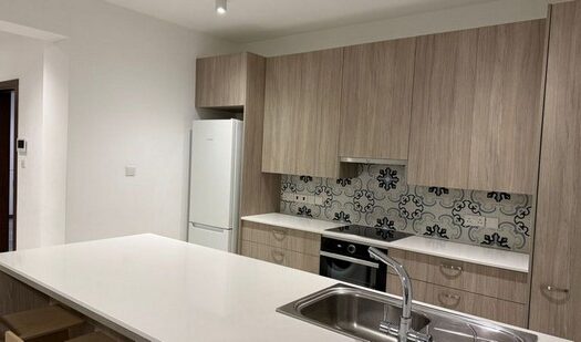 Spacious modern one bedroom furnished apartment gated