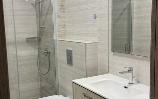 Spacious modern one bedroom furnished apartment gated