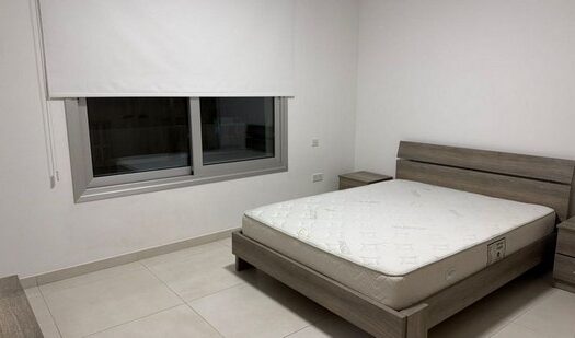 Spacious modern one bedroom furnished apartment gated