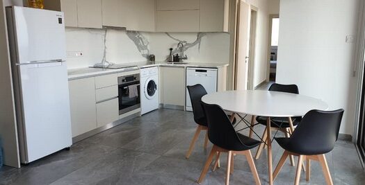 Modern 2 bedroom furnished apartment in Zakaki